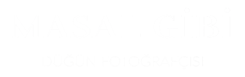 light logo
